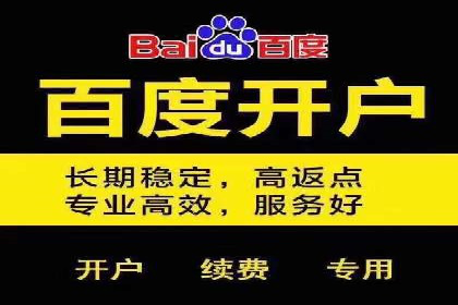 百度SEM竞价案例分享：从失败到成功的转变